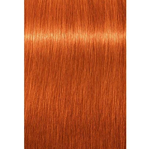 Schwarzkopf Professional - Tintura permanente para el cabello Igora Royal, tono 8-77, color rubio claro cobre, 2.11 onzas (60 g)