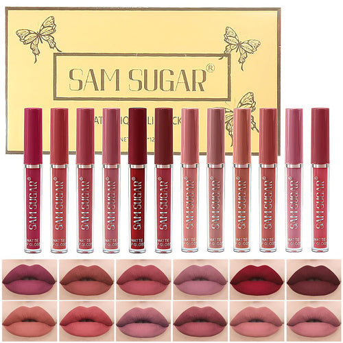 12Pcs Liquid Lipstick Set, Shades with Matte Gloss Lip Tint, Set A | Waterproof, Long Lasting, Quick-drying, Non-Stick Cup, Up to 12H Wear, Professional Lip Makeup Gift Kit