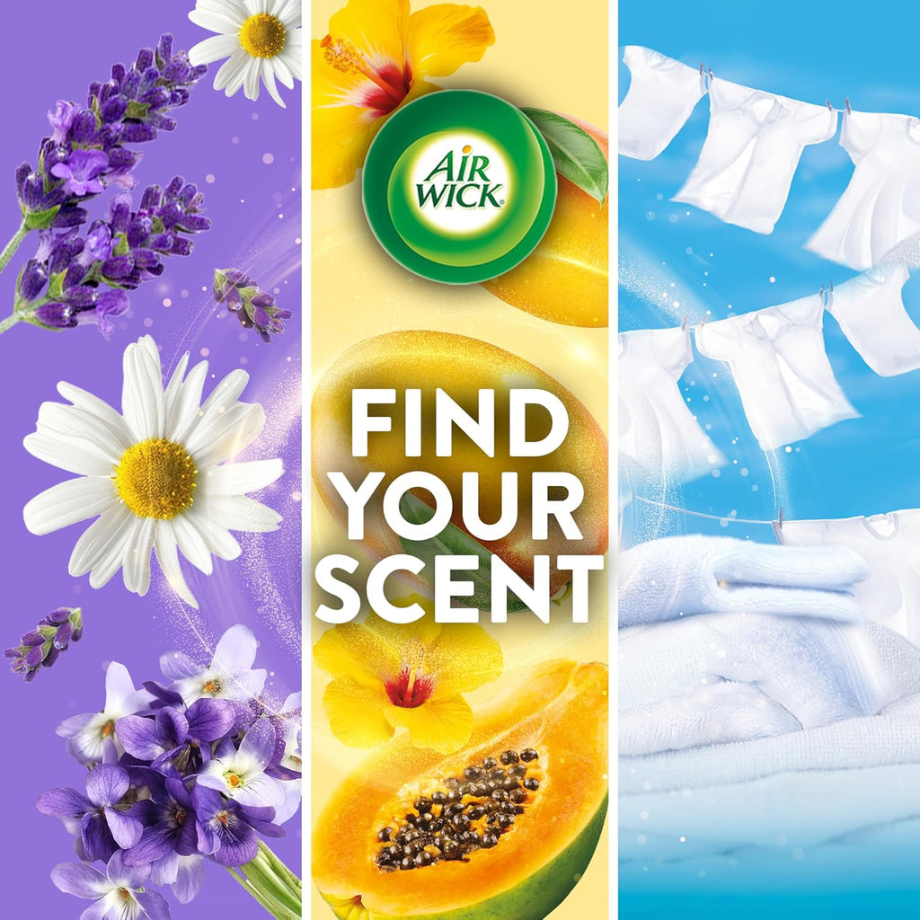 Air Wick - Kit de iniciación de aceite aromático Plug in, 2 calentadores + 6 repuestos