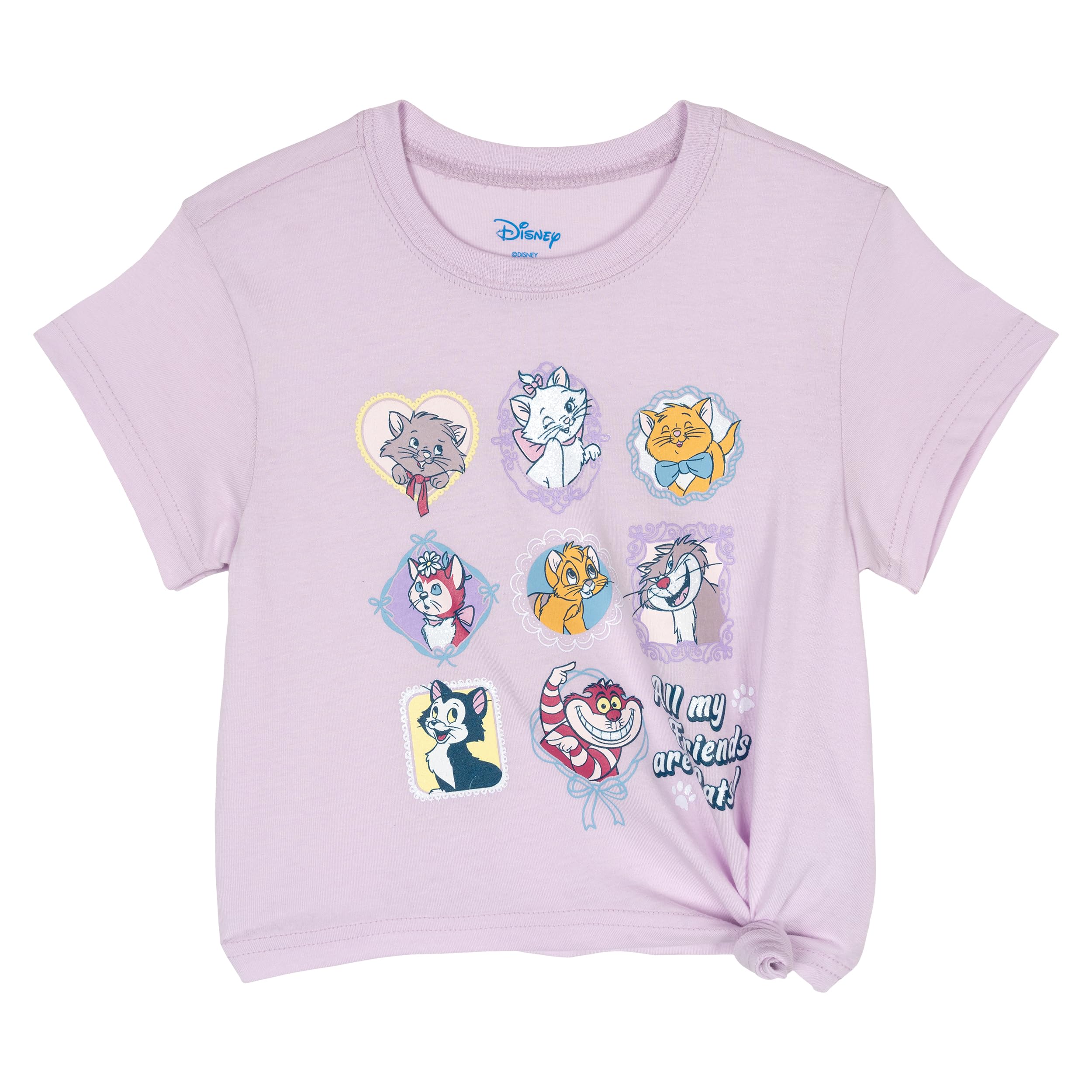 Disney T-Shirt and French Terry Shorts Outfit Set Infant to Big Kid Sizes (12 Months - 14-16)