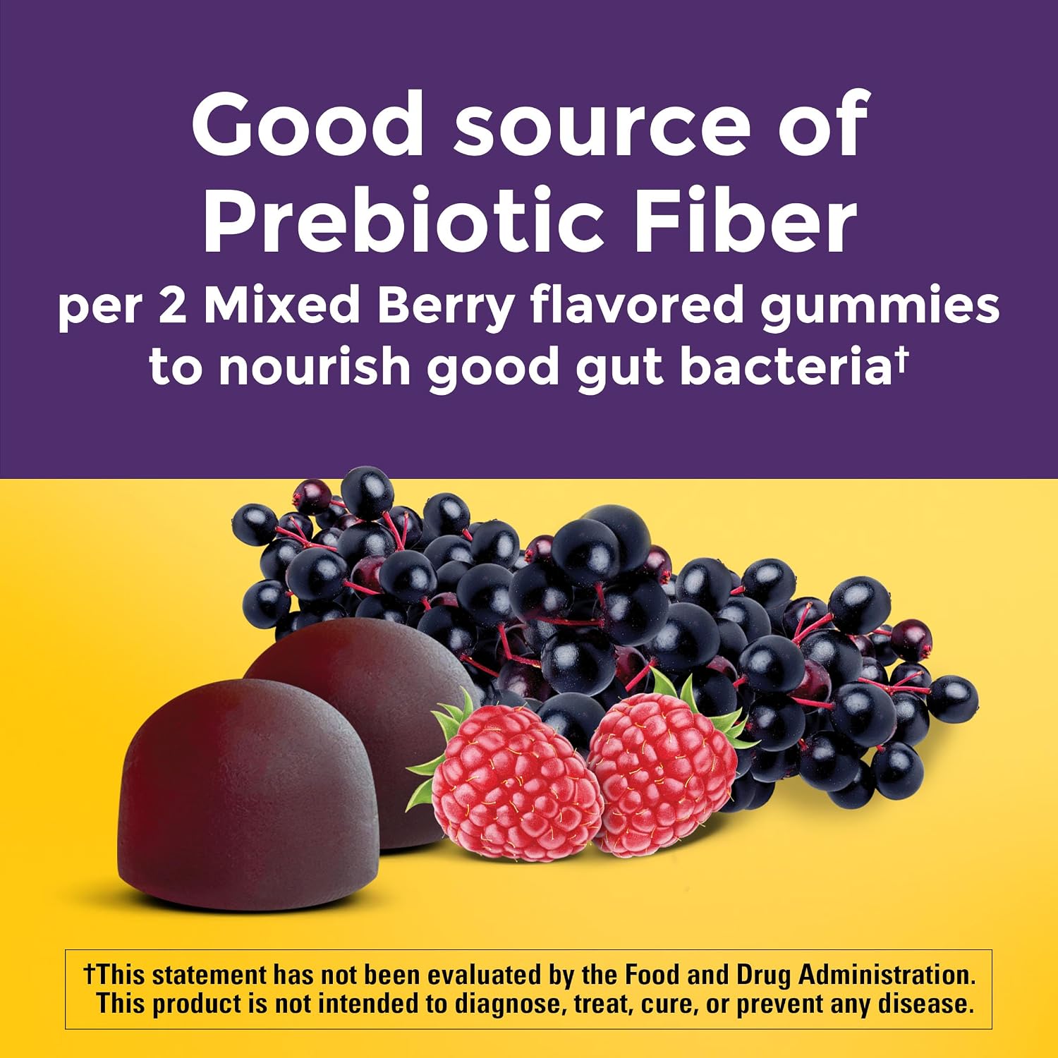 Nature Made - Gomitas de fibra probióticas + prebióticas para la salud intestinal diaria, suplemento de soporte digestivo con probióticos y fibra, 50 gomitas, suministro para 25 días | Fiber Supplement for Daily Gut Health, Prebiotics and Probiotics for W
